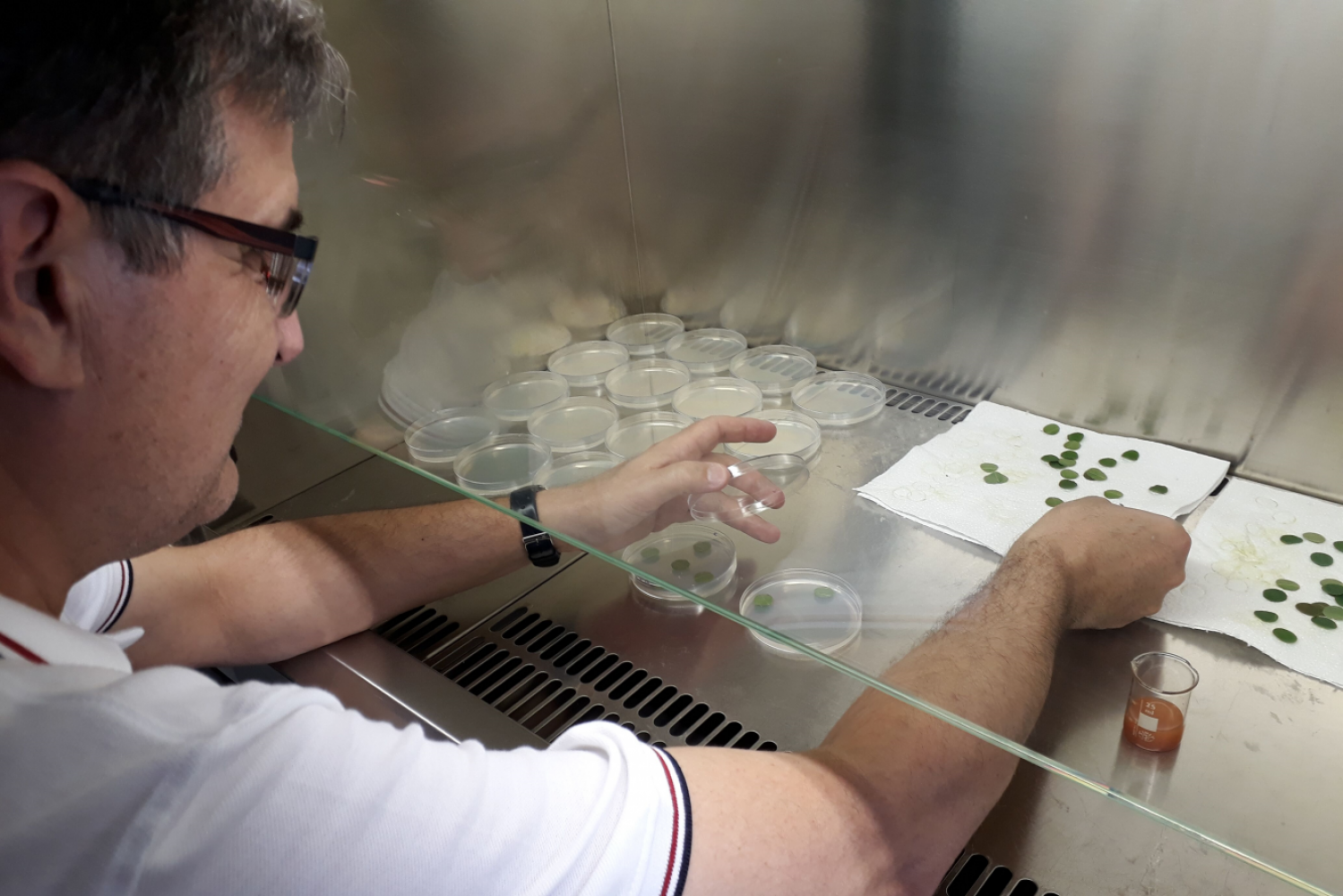 Univerzitet Crne Gore