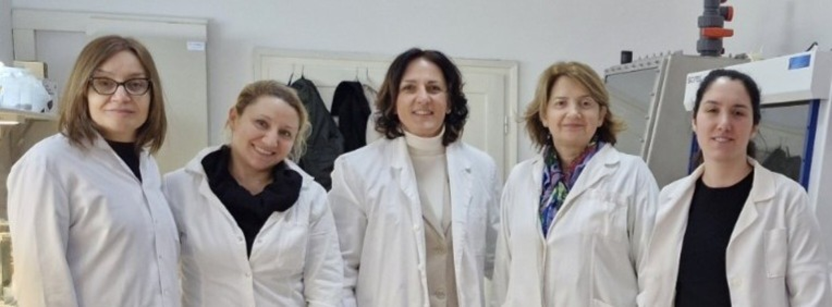 Univerzitet Crne Gore