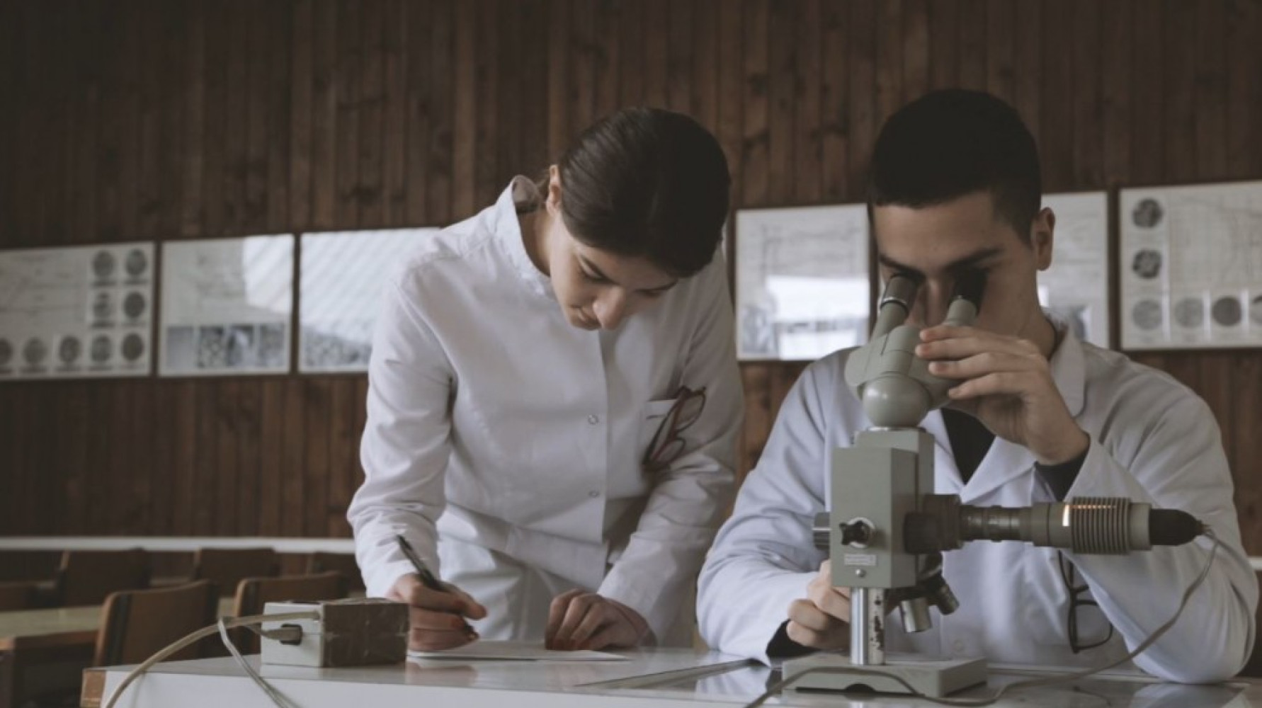 Univerzitet Crne Gore