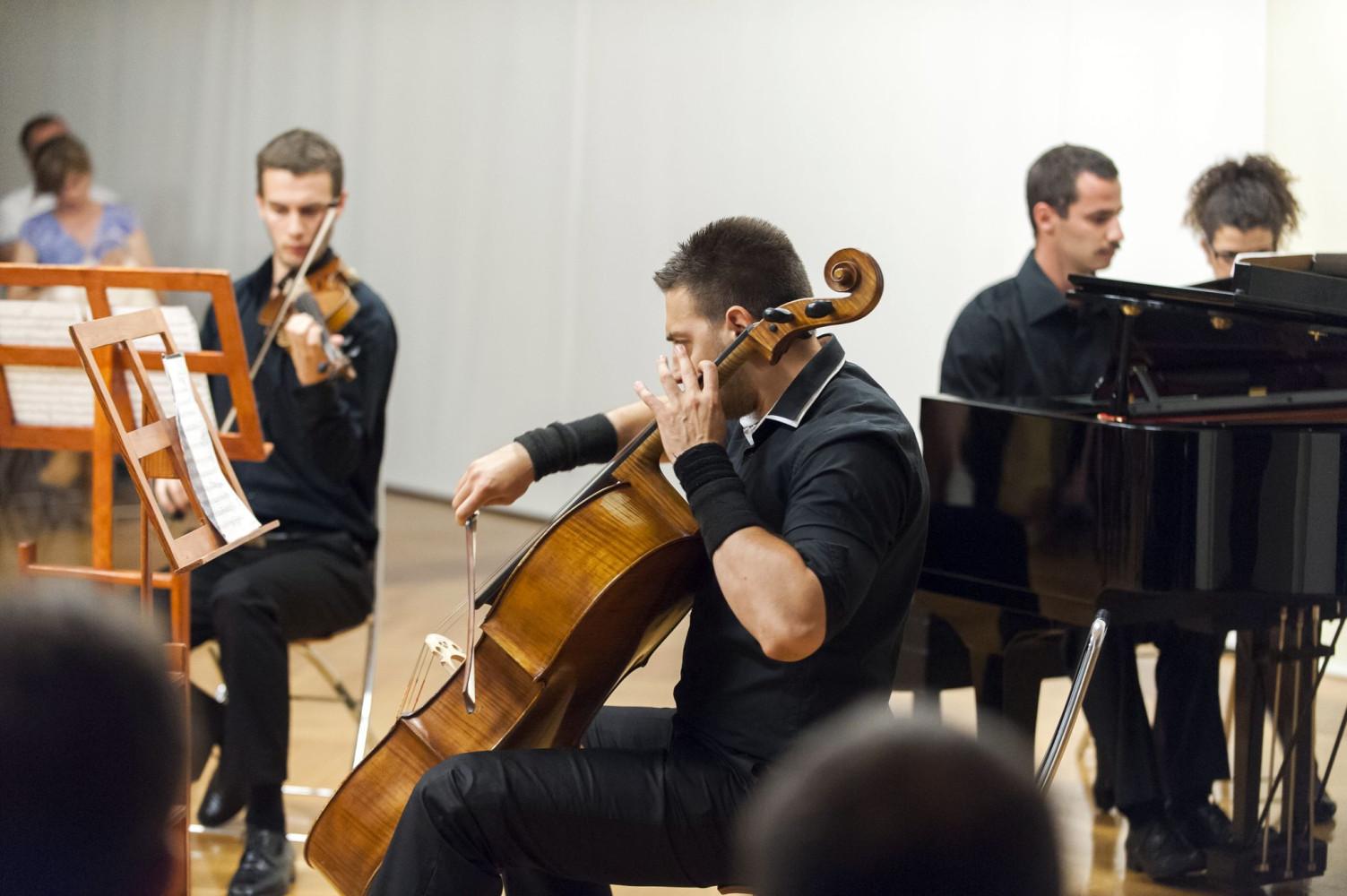 Univerzitet Crne Gore