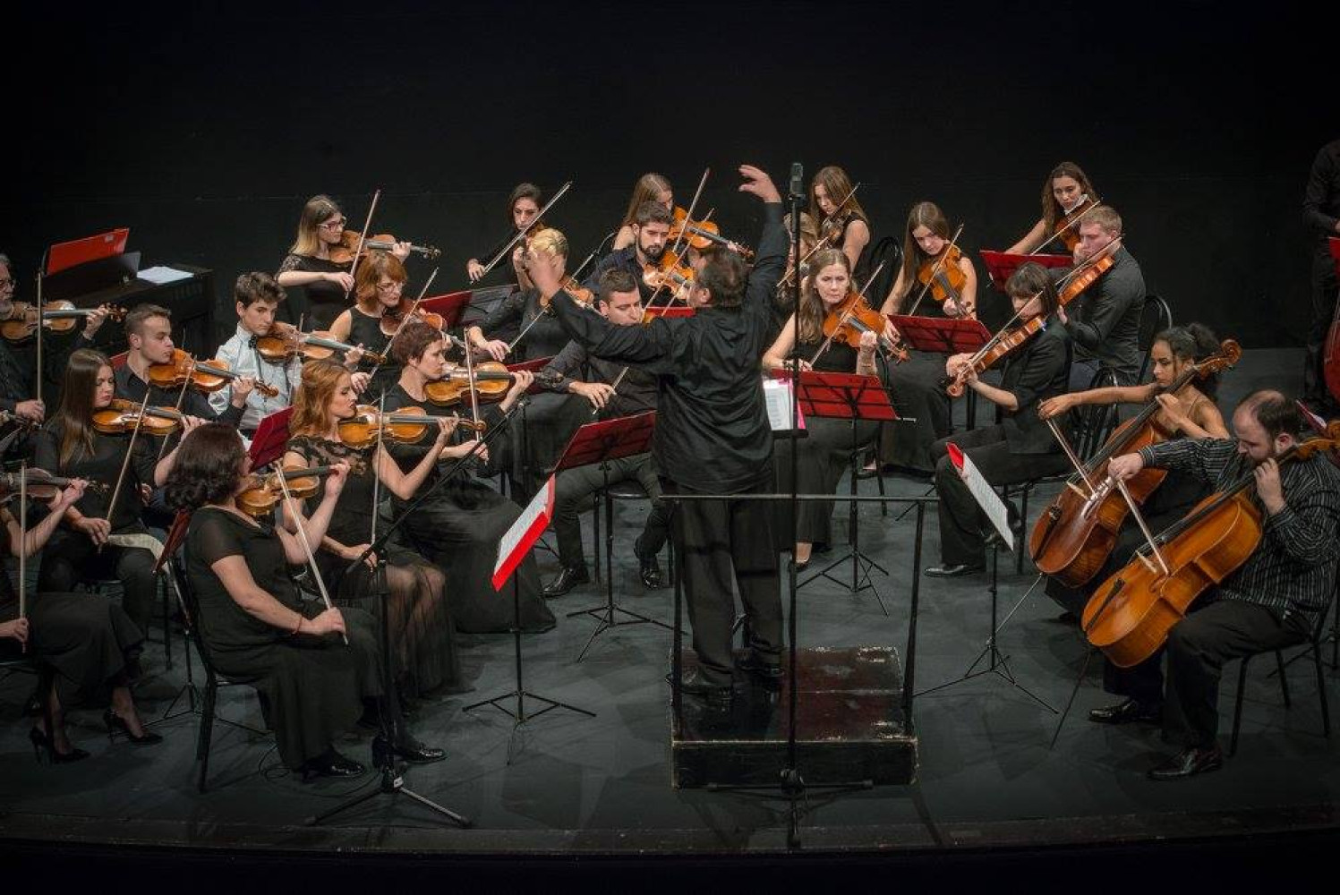 Univerzitet Crne Gore