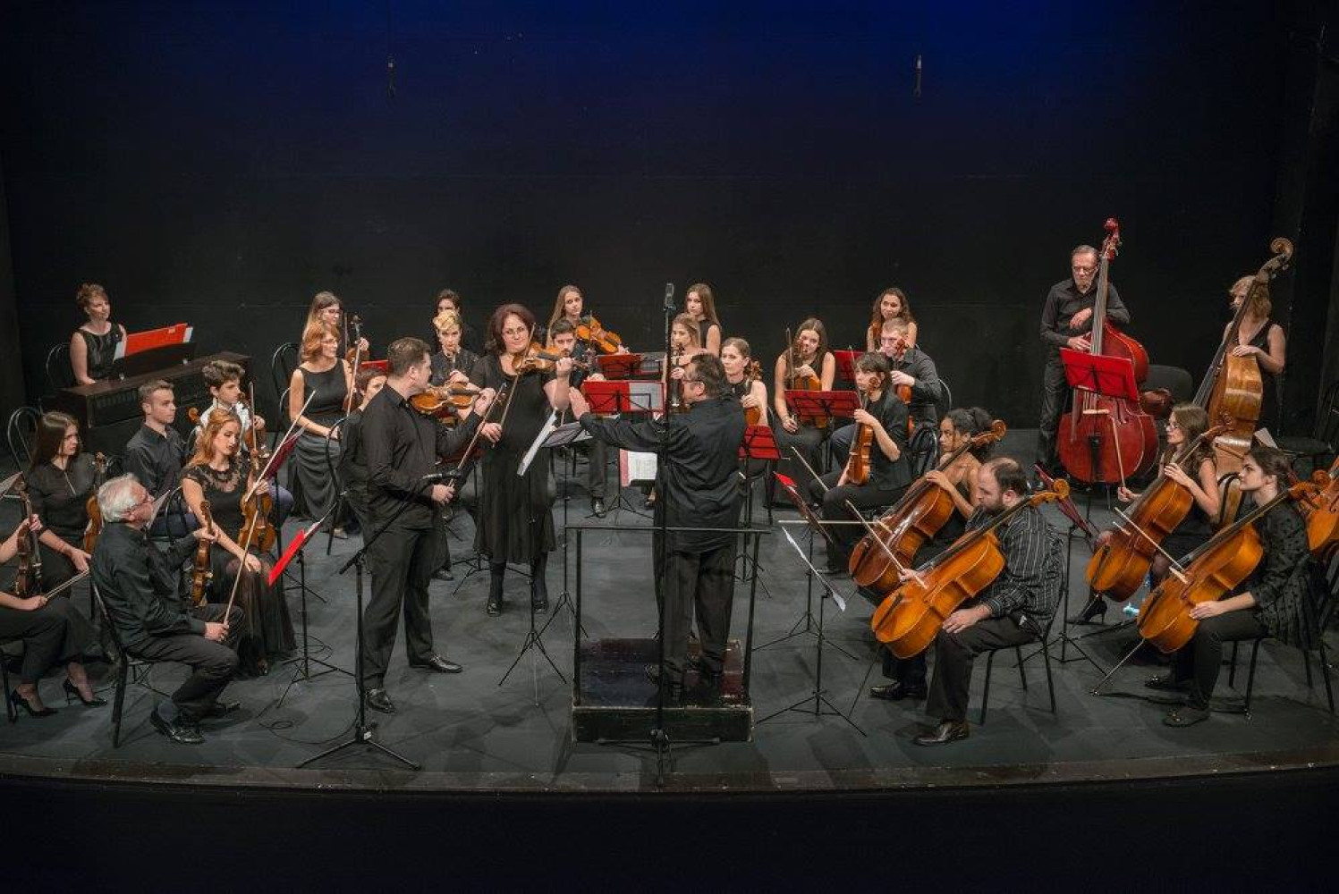 Univerzitet Crne Gore