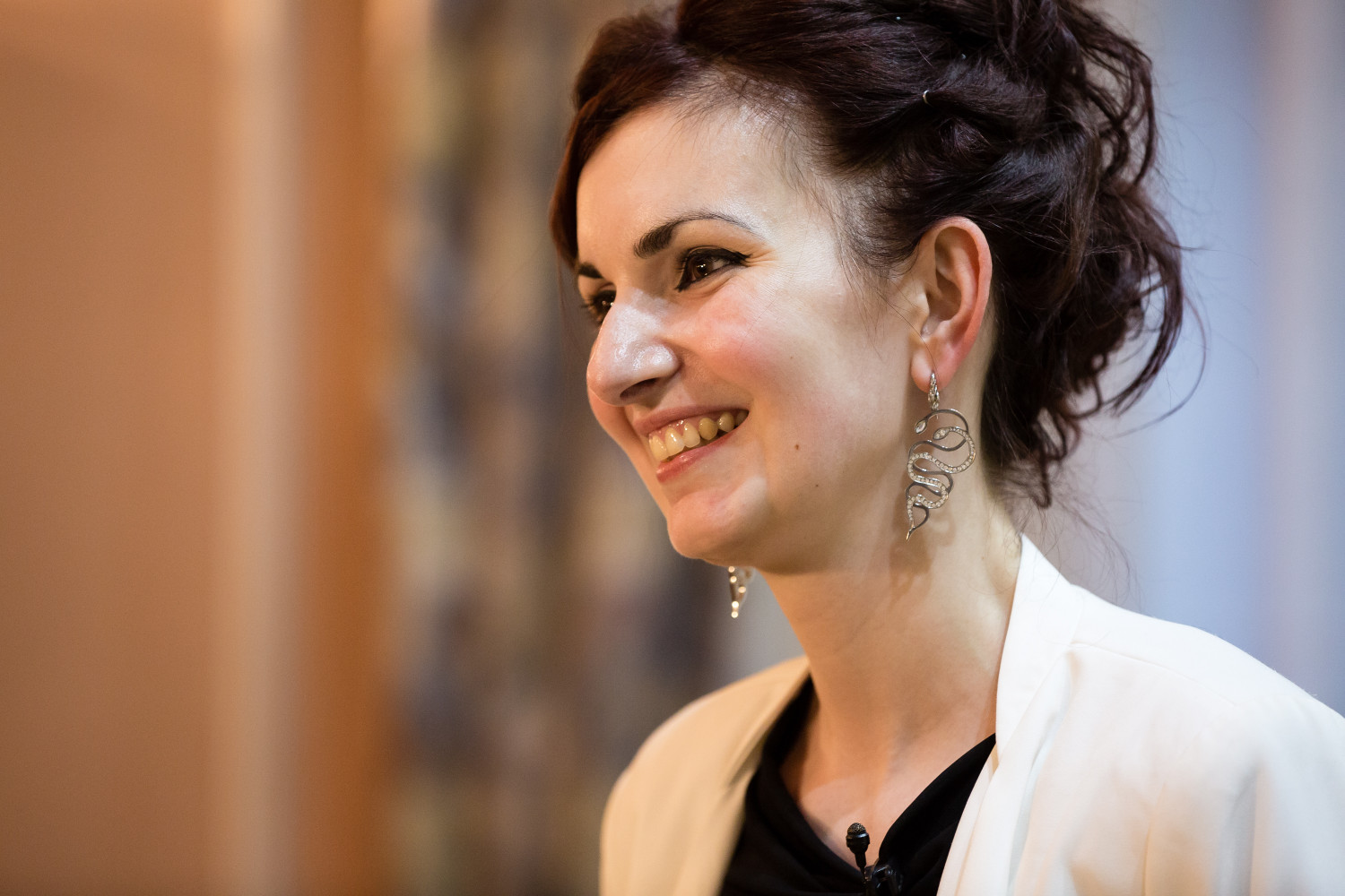 Univerzitet Crne Gore