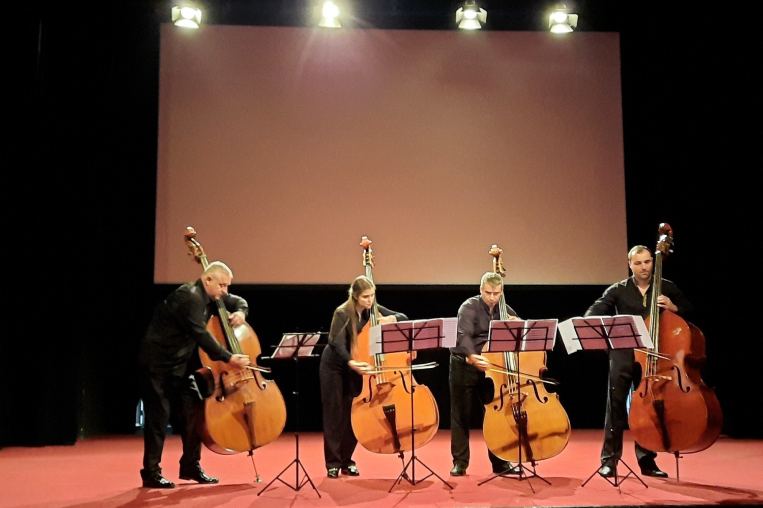 Univerzitet Crne Gore