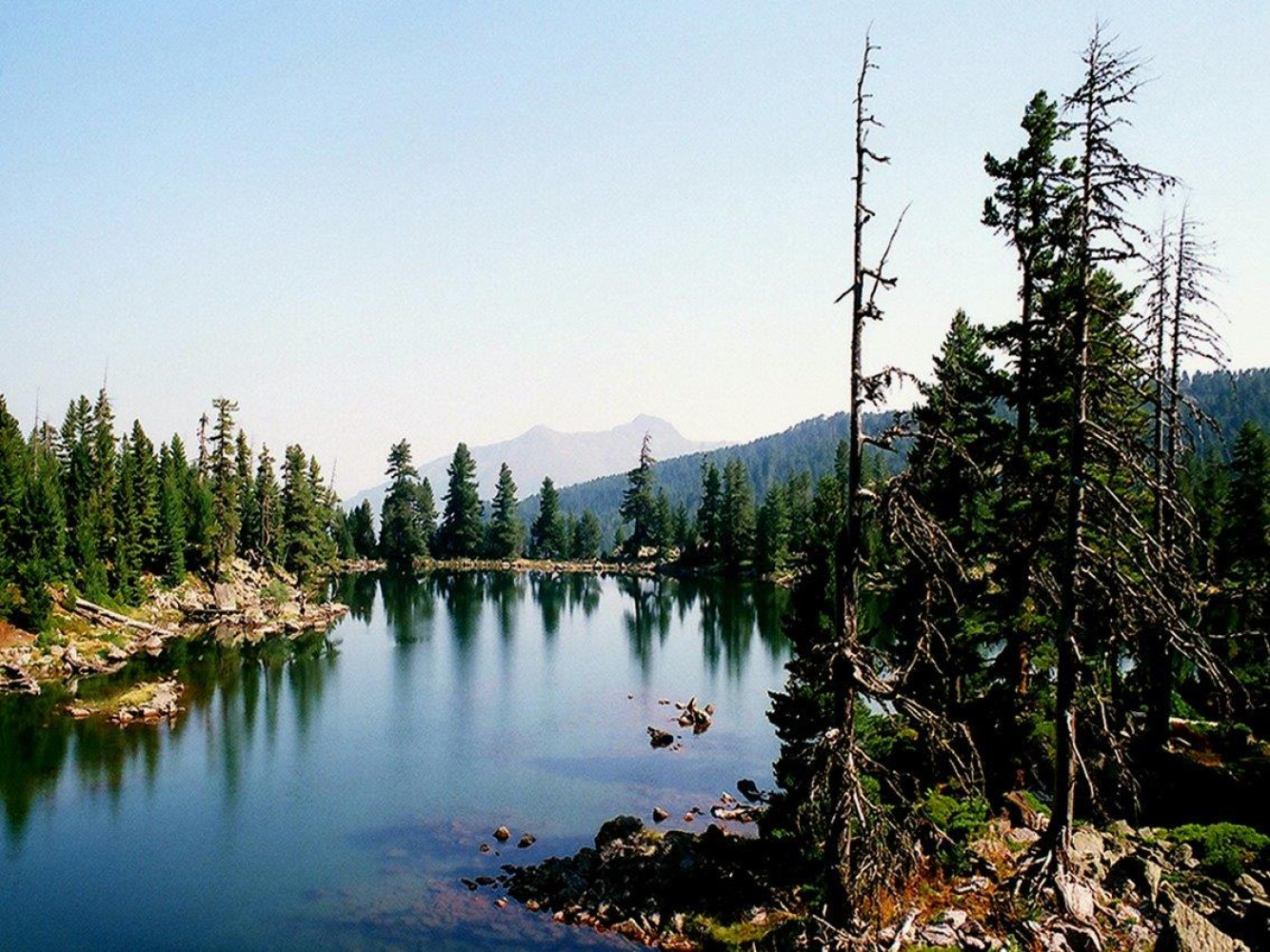 Univerzitet Crne Gore