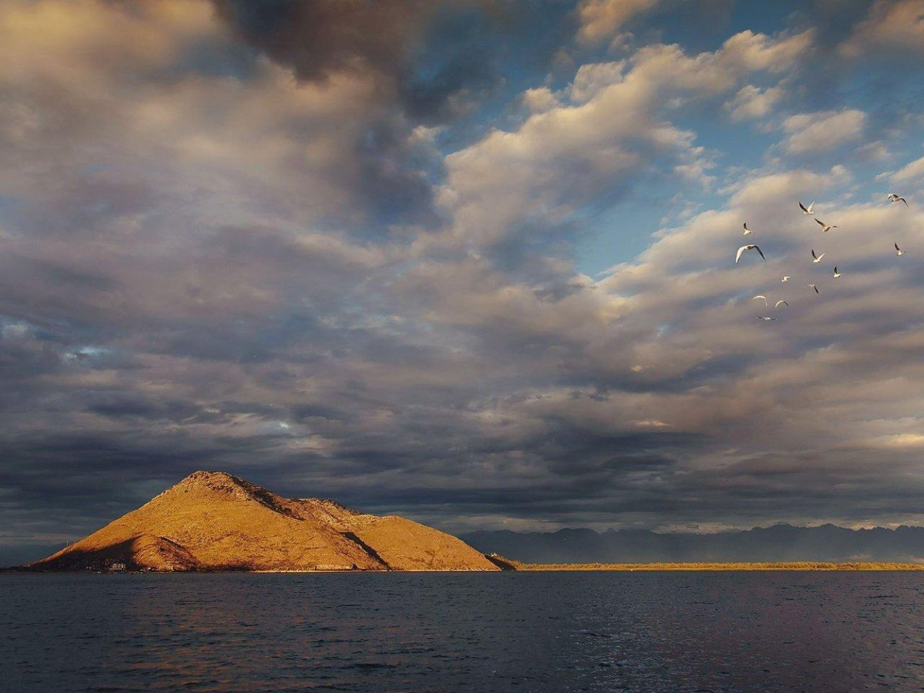 Univerzitet Crne Gore