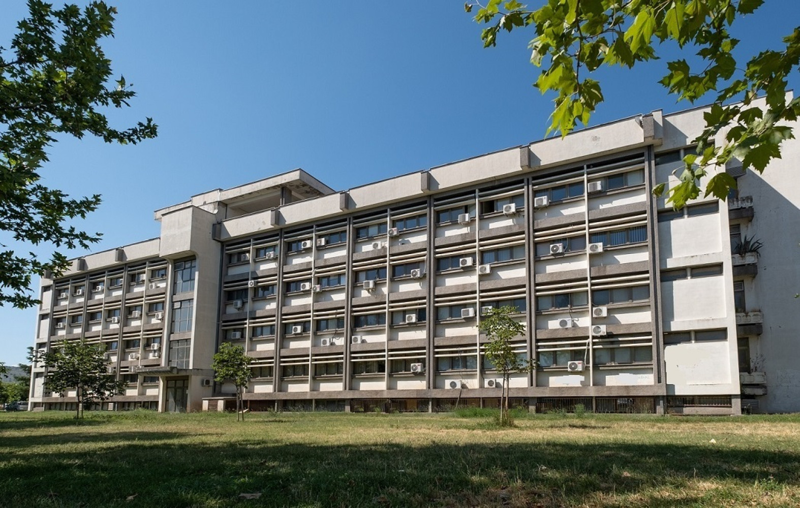 Univerzitet Crne Gore