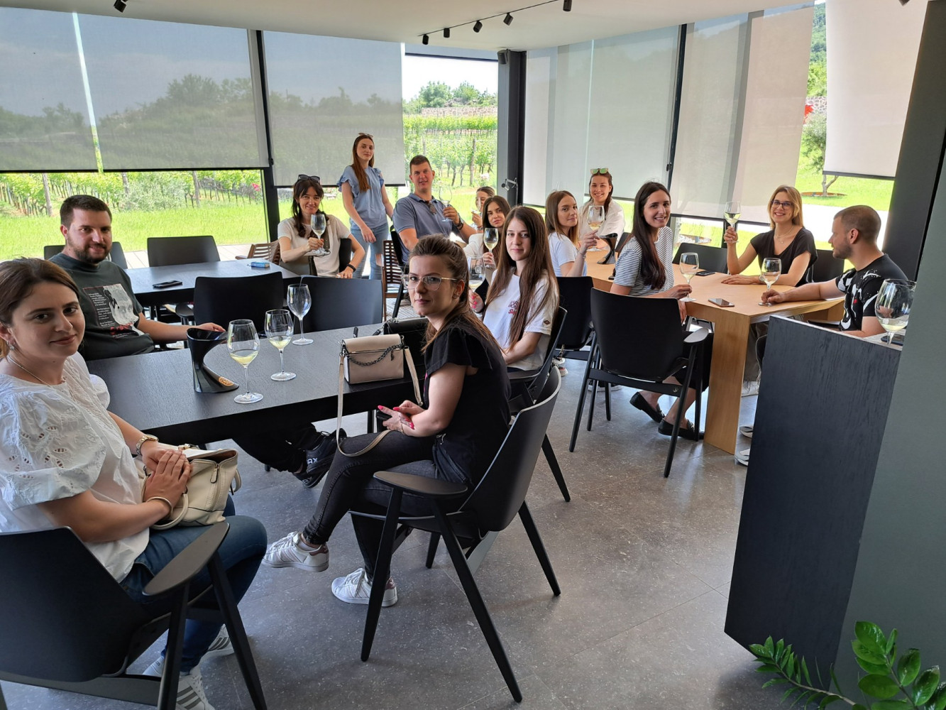 Univerzitet Crne Gore