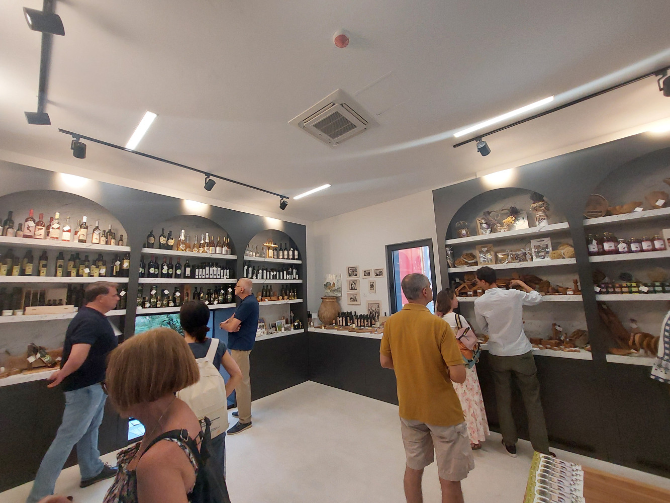 Univerzitet Crne Gore