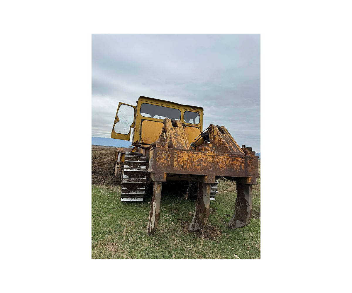 Univerzitet Crne Gore