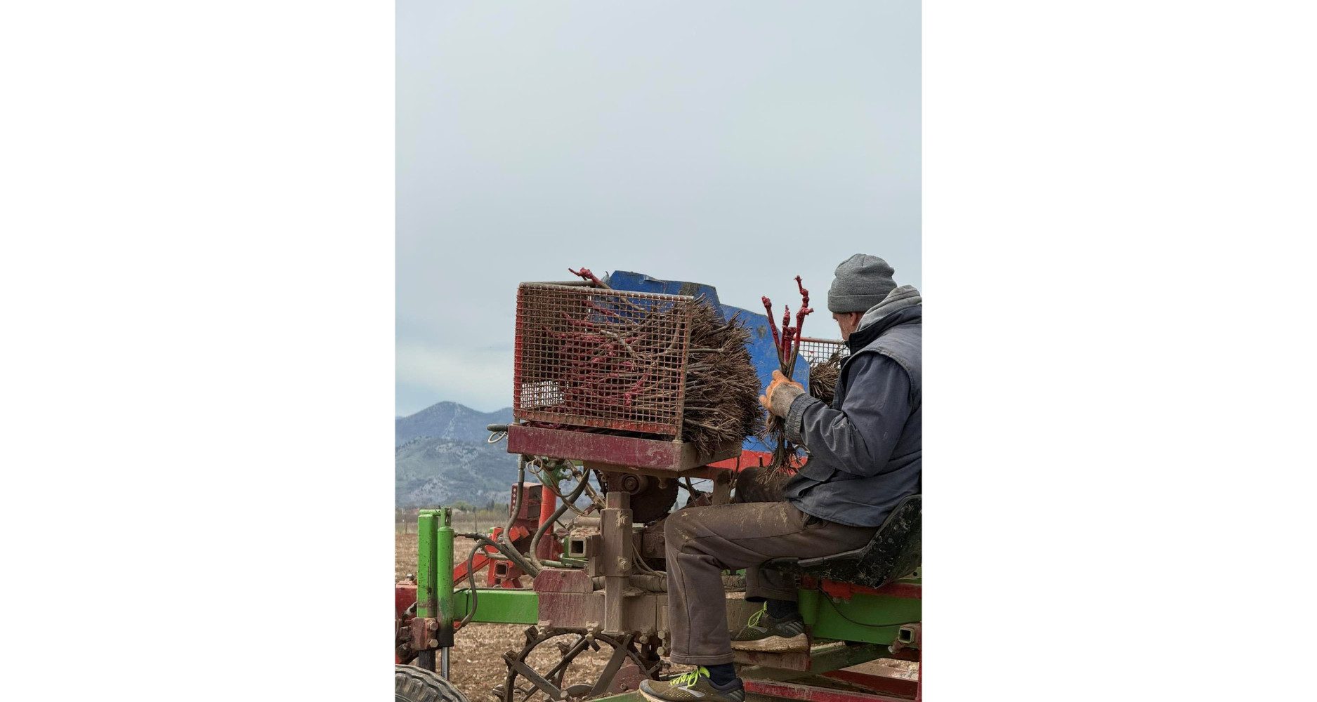 Univerzitet Crne Gore