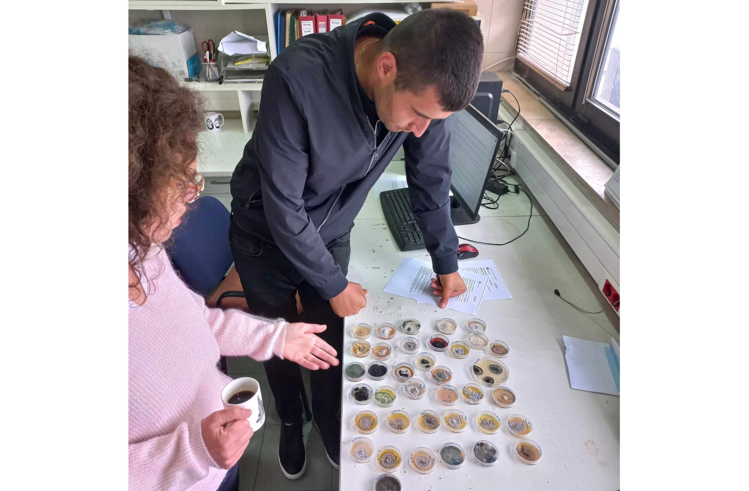 Univerzitet Crne Gore