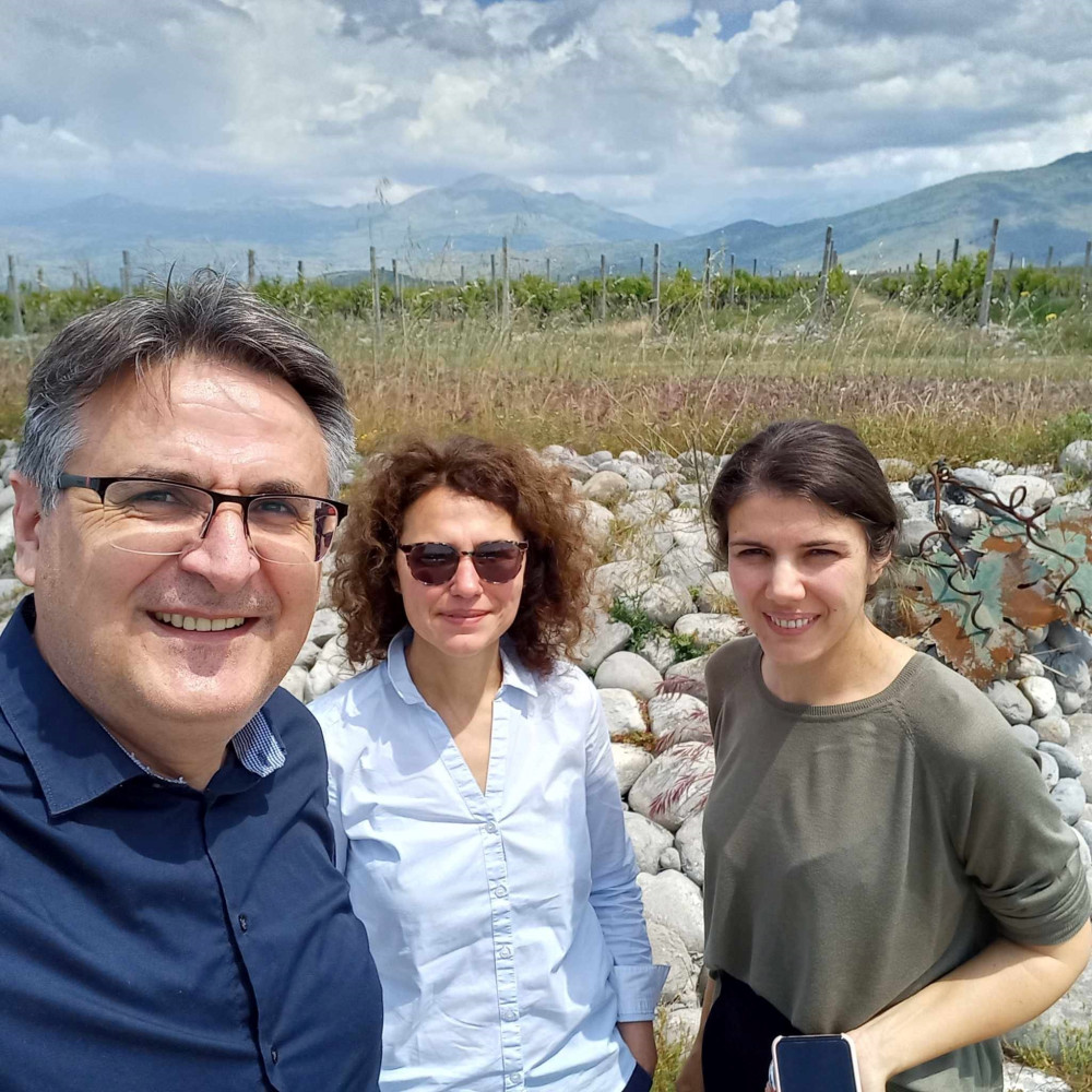 Univerzitet Crne Gore