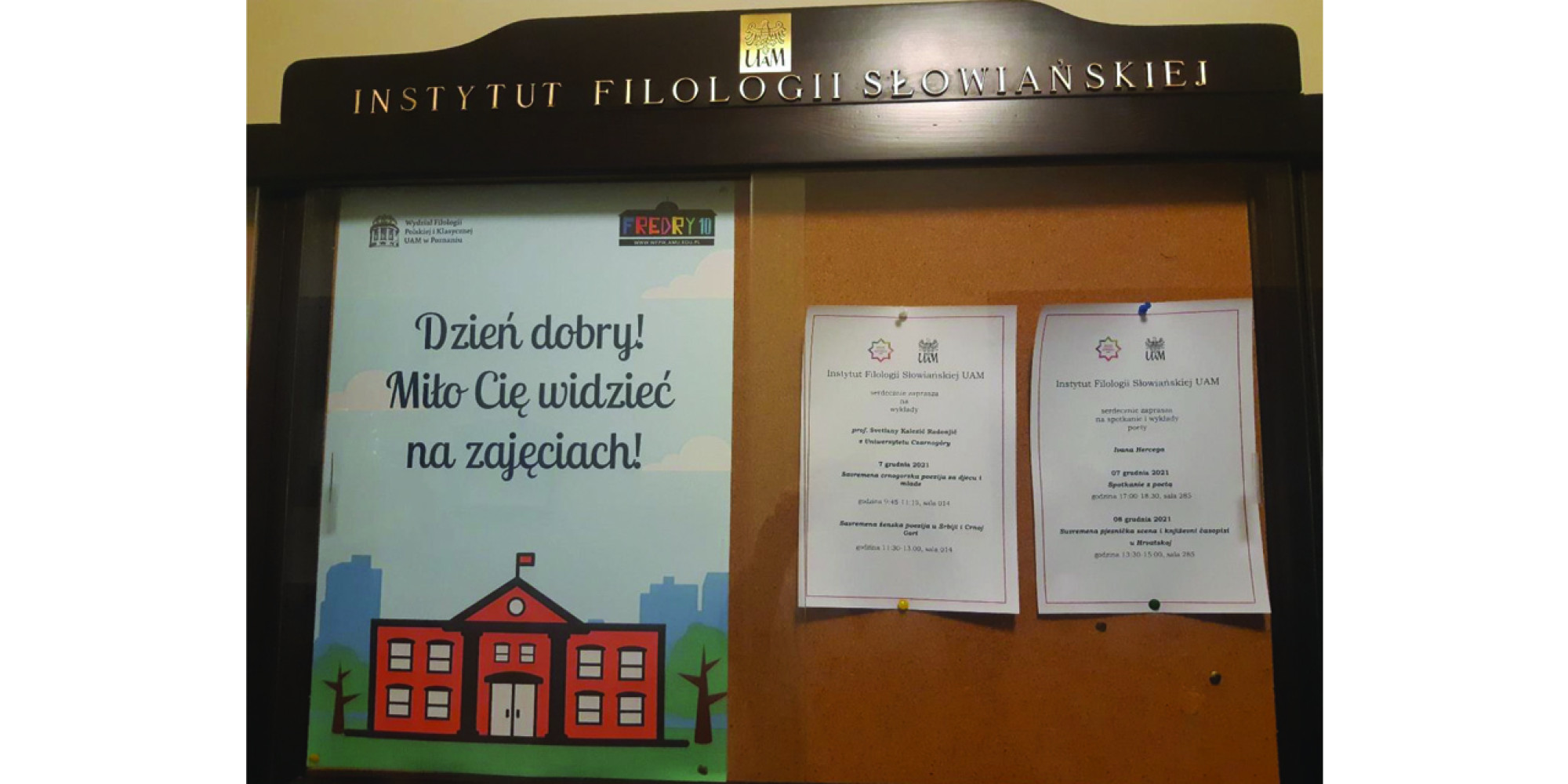 Univerzitet Crne Gore