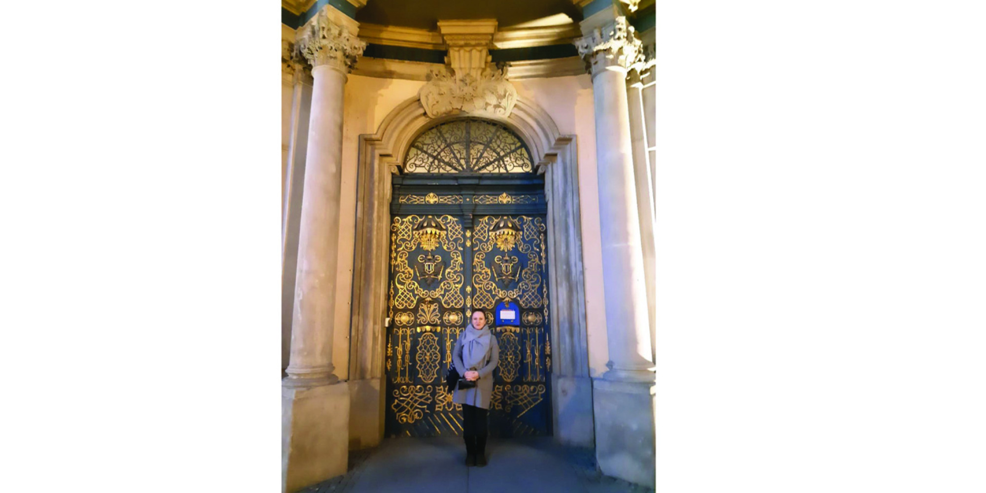 Univerzitet Crne Gore