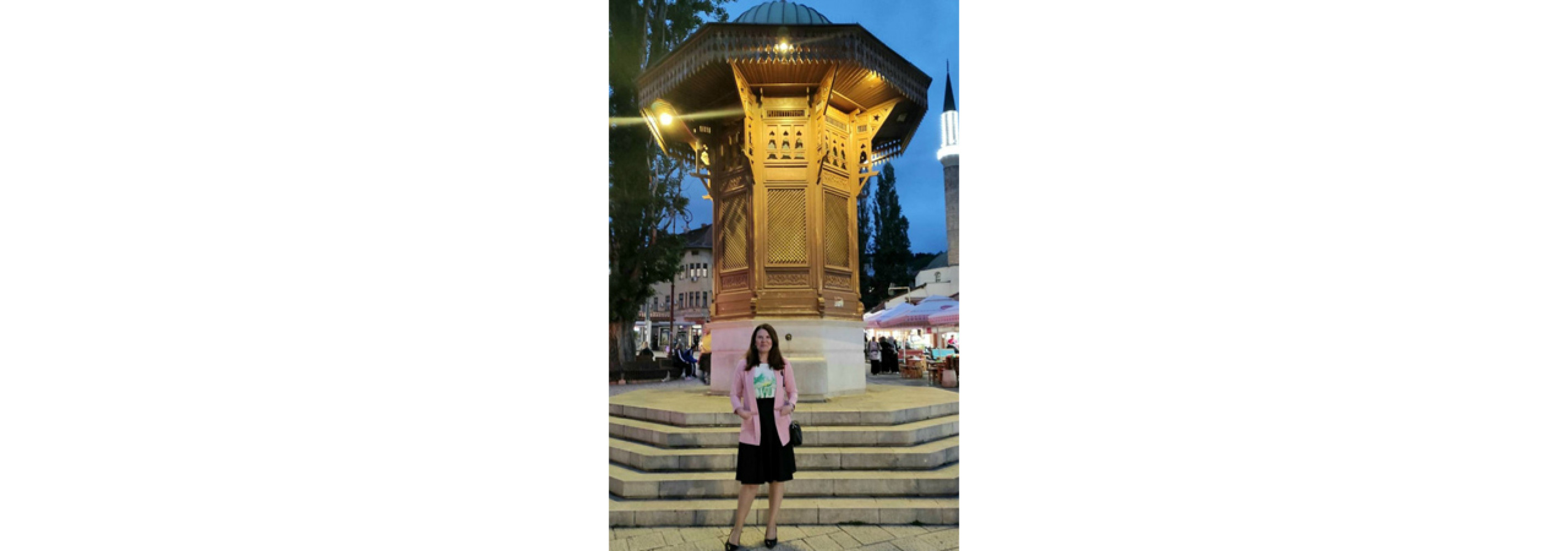 Univerzitet Crne Gore