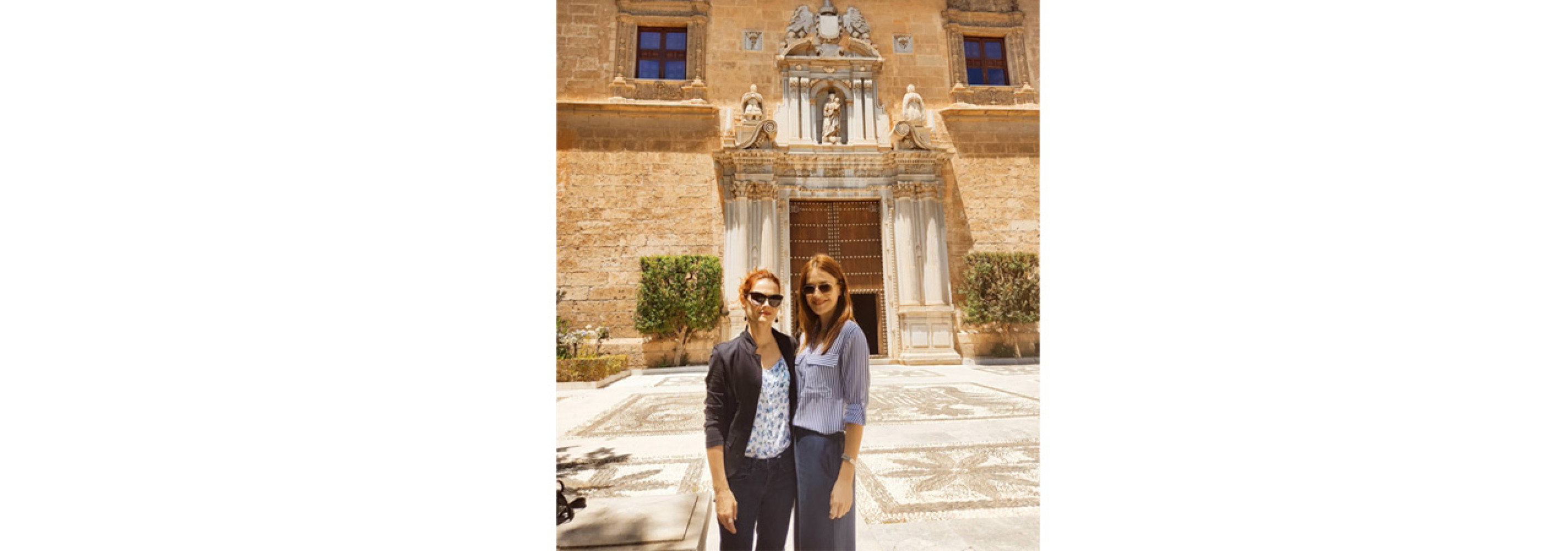 Univerzitet Crne Gore