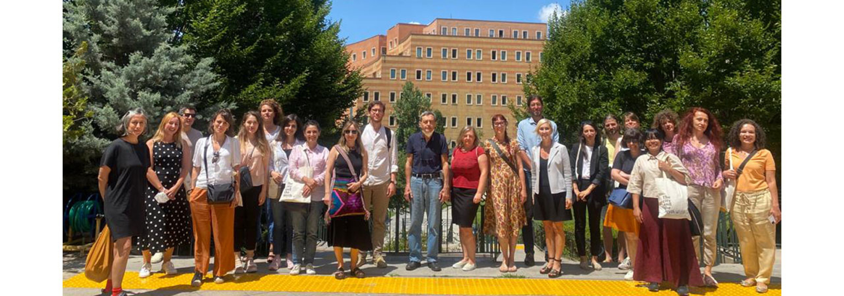 Univerzitet Crne Gore