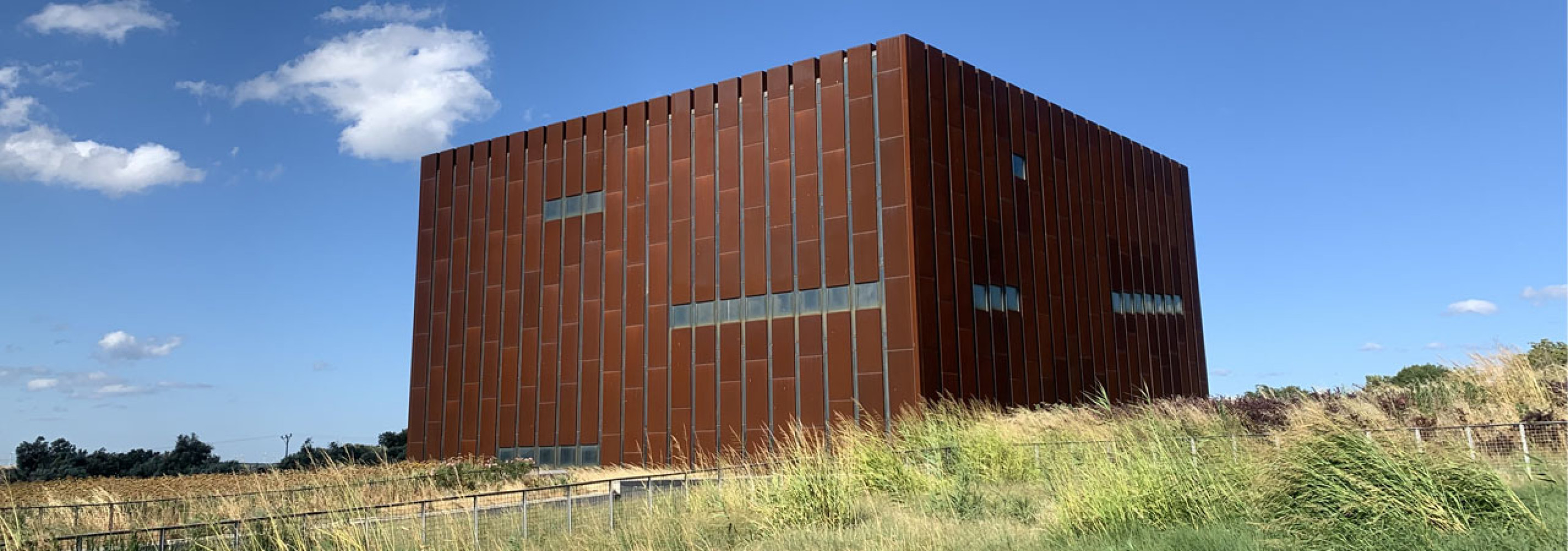 Univerzitet Crne Gore