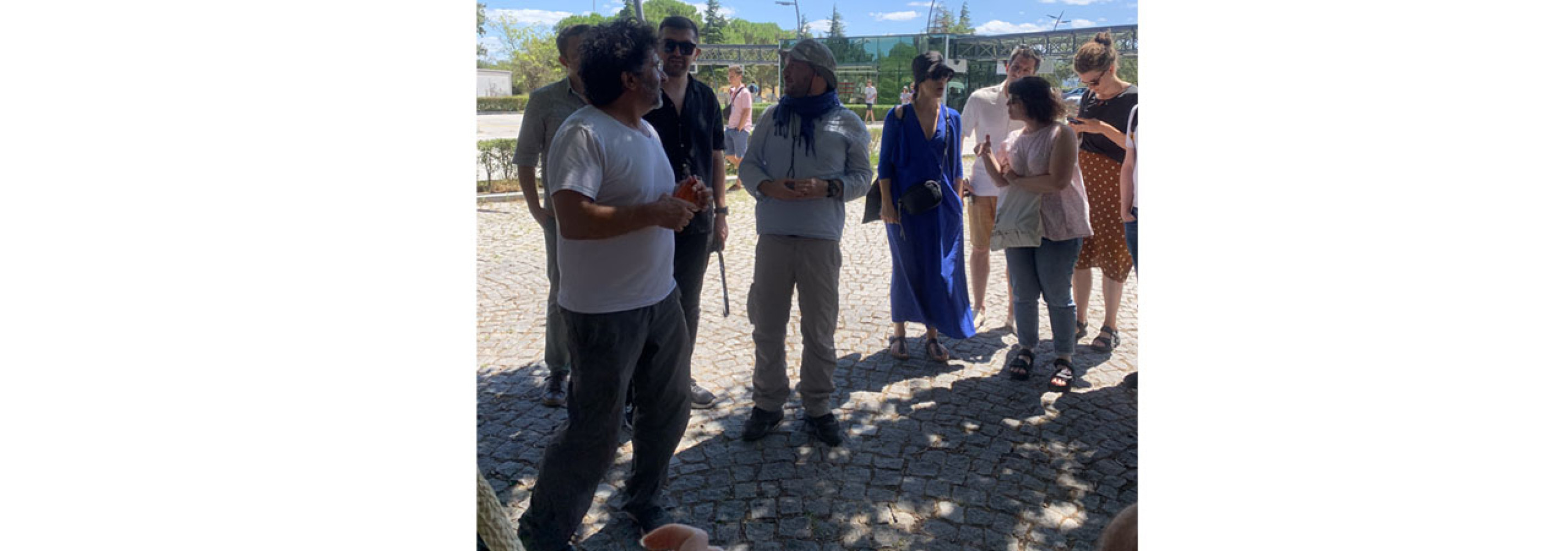 Univerzitet Crne Gore