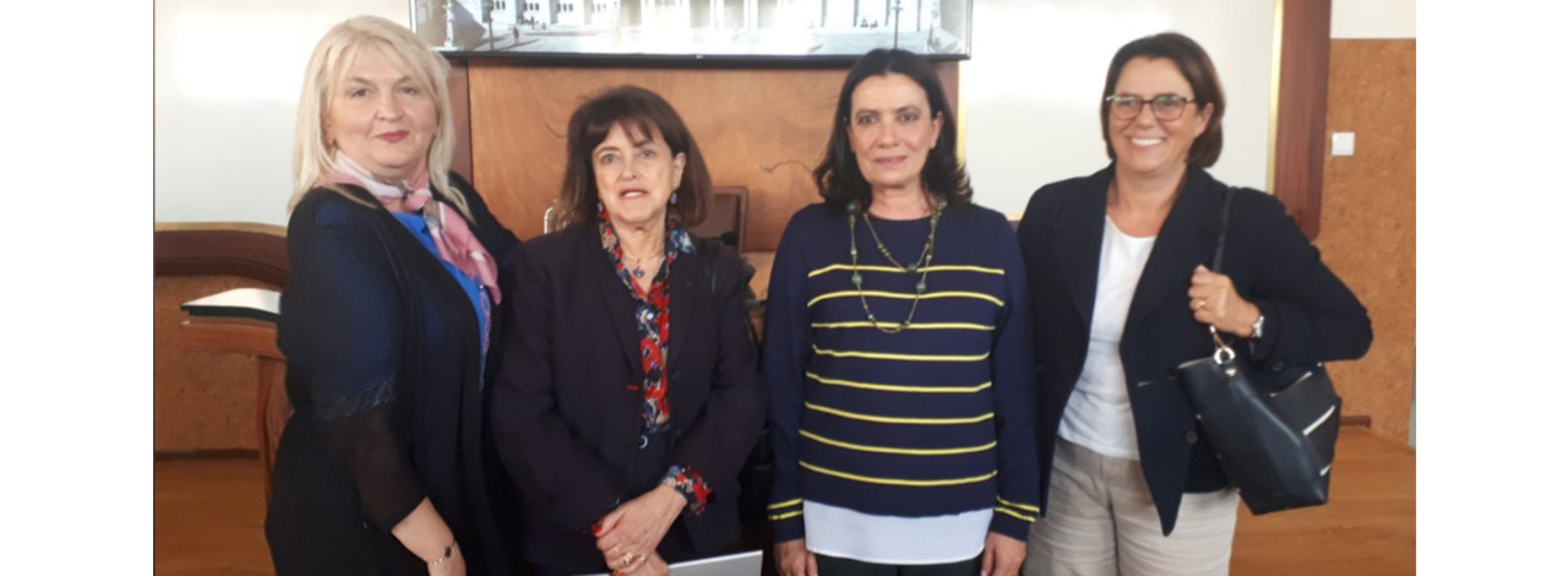 Univerzitet Crne Gore