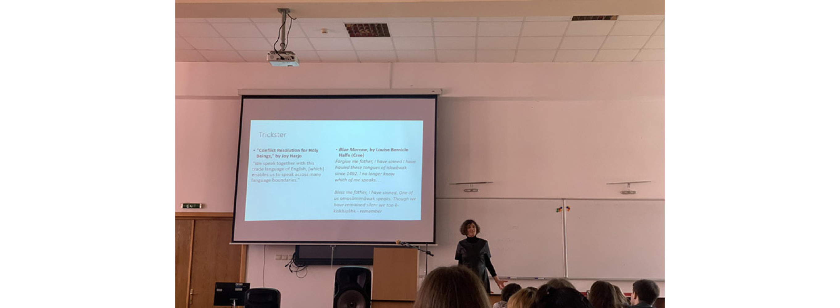 Univerzitet Crne Gore