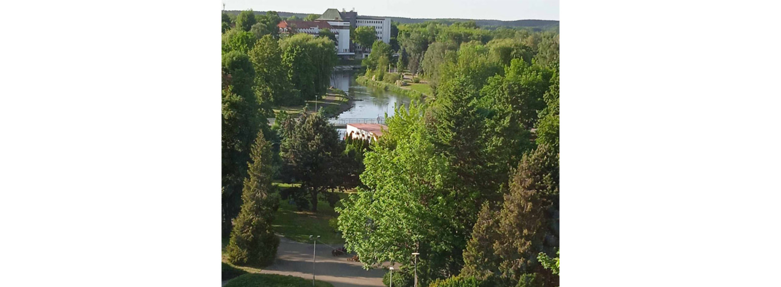 Univerzitet Crne Gore