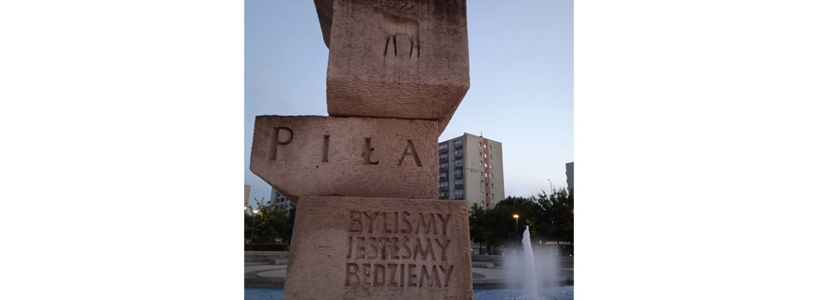 Univerzitet Crne Gore