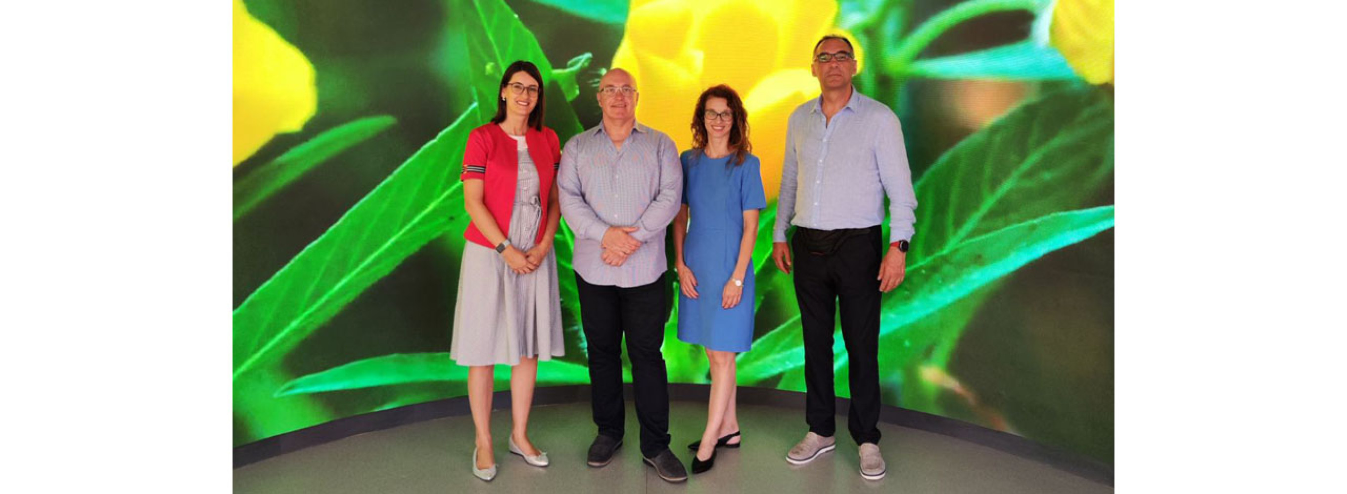 Univerzitet Crne Gore