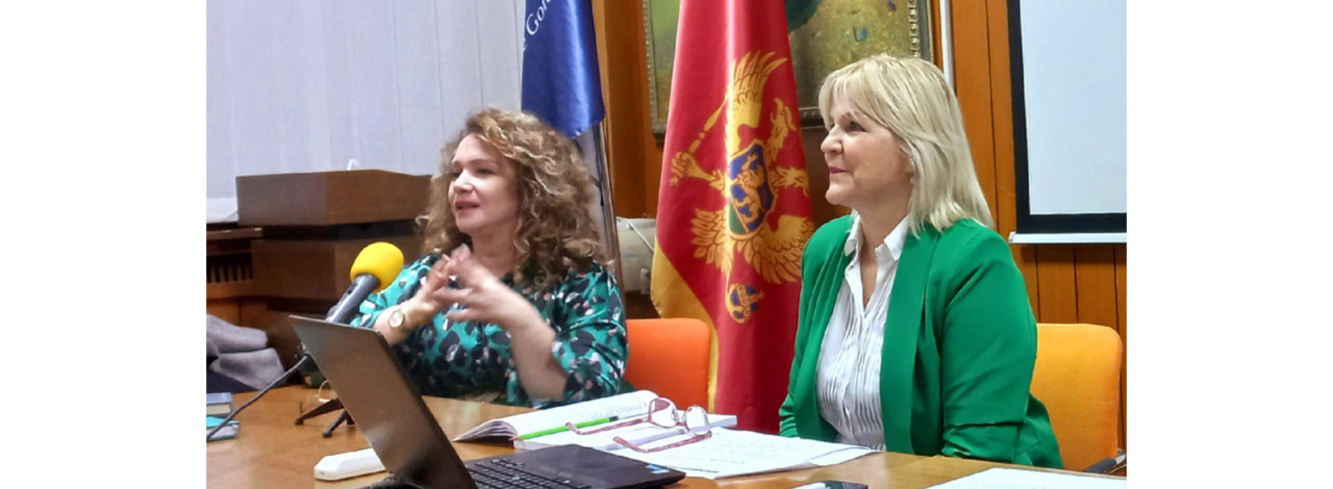 Univerzitet Crne Gore