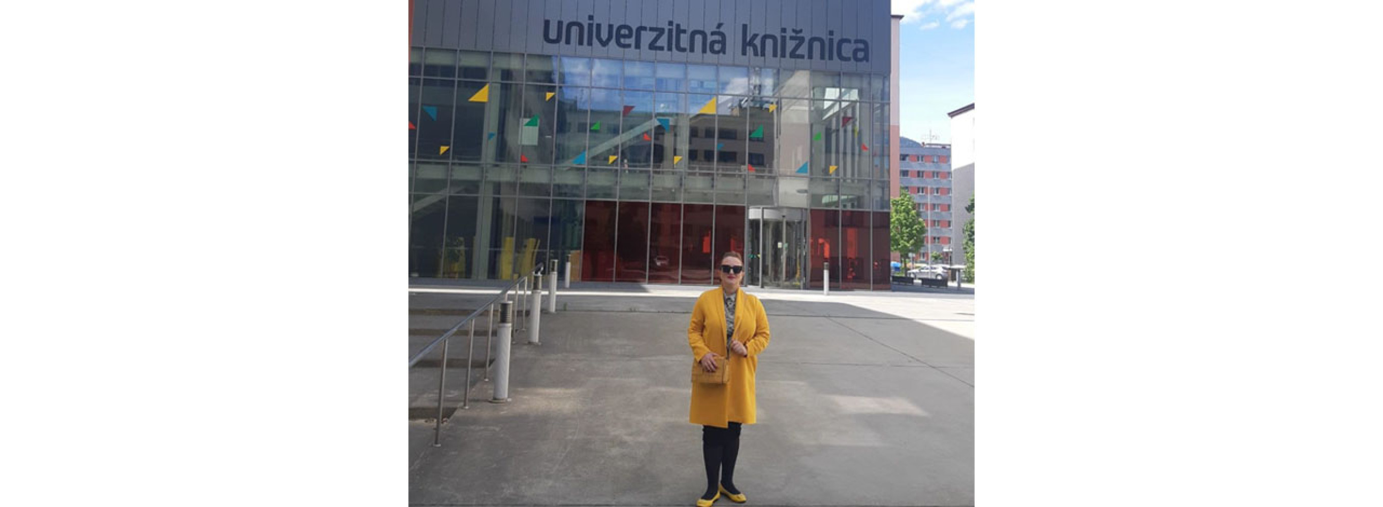 Univerzitet Crne Gore