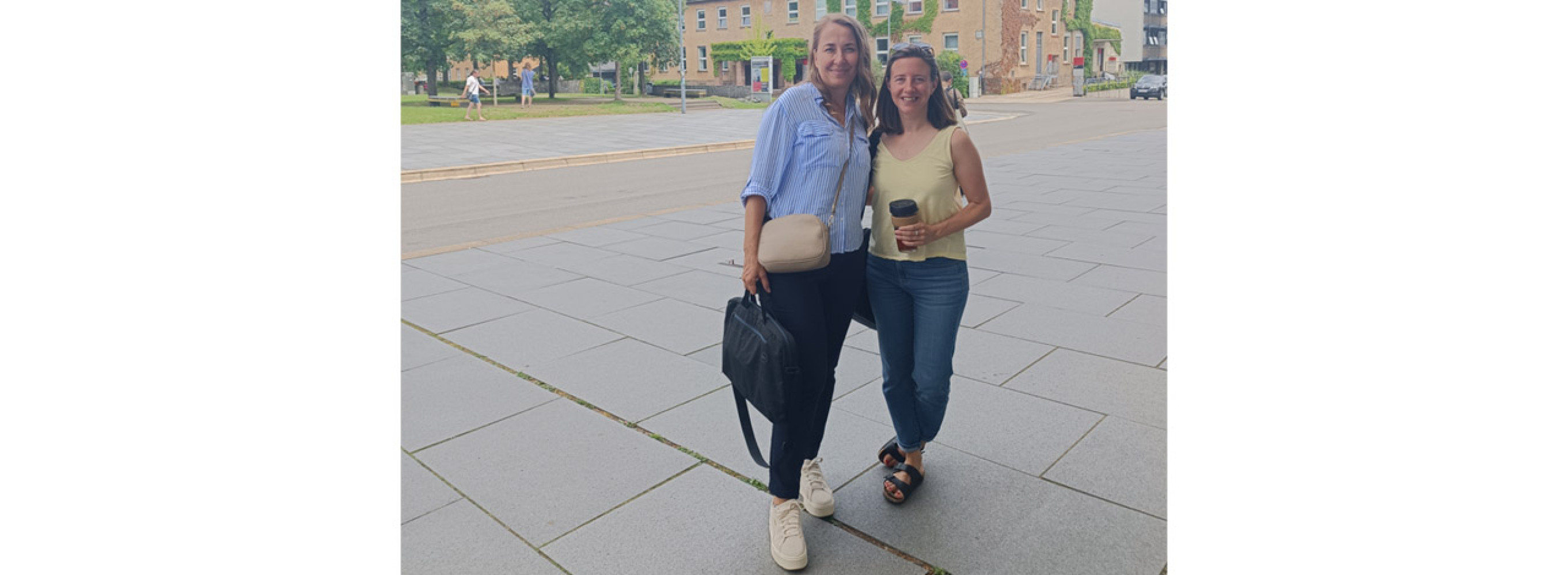 Univerzitet Crne Gore