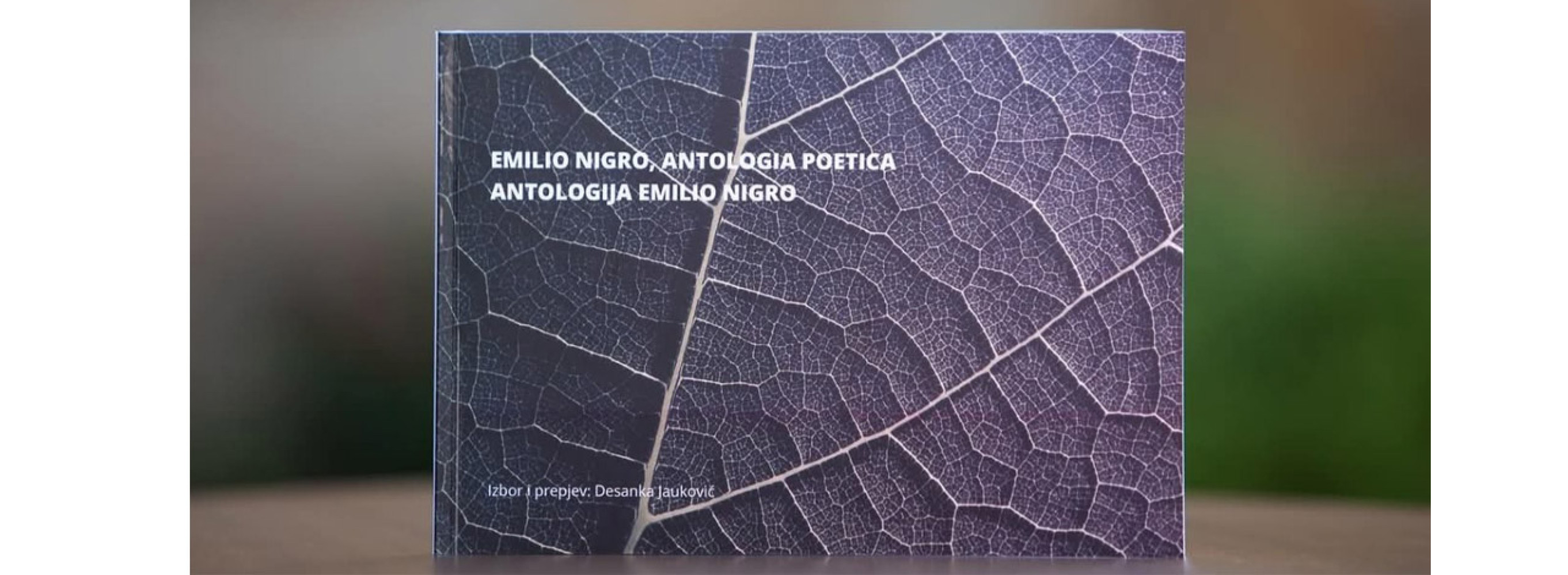 Univerzitet Crne Gore