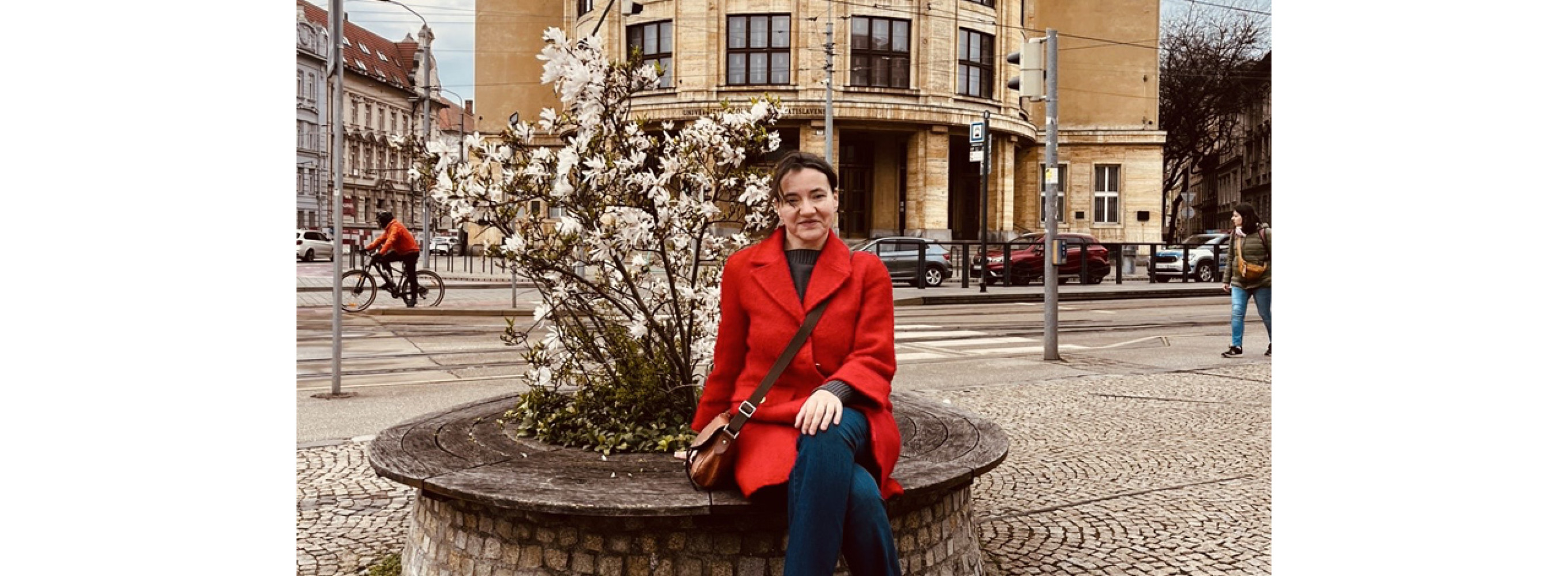 Univerzitet Crne Gore