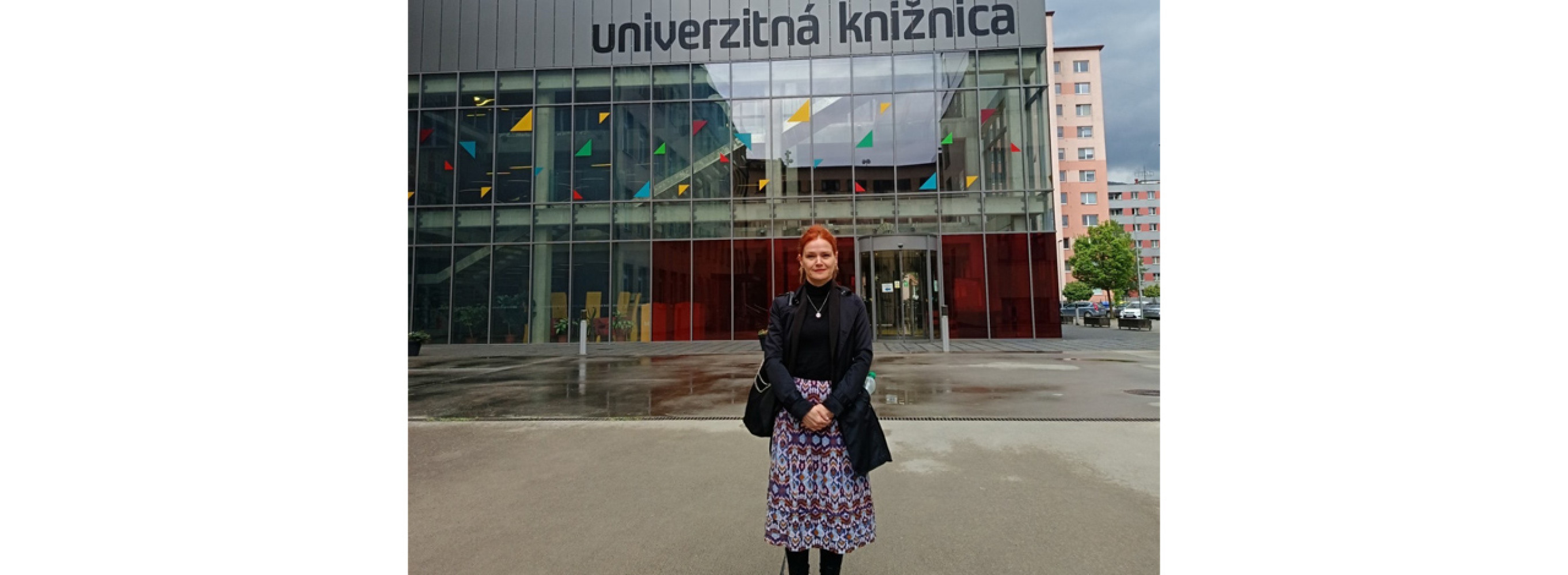 Univerzitet Crne Gore