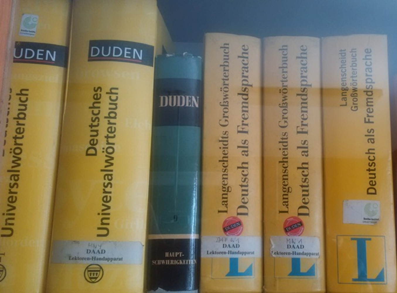 Univerzitet Crne Gore