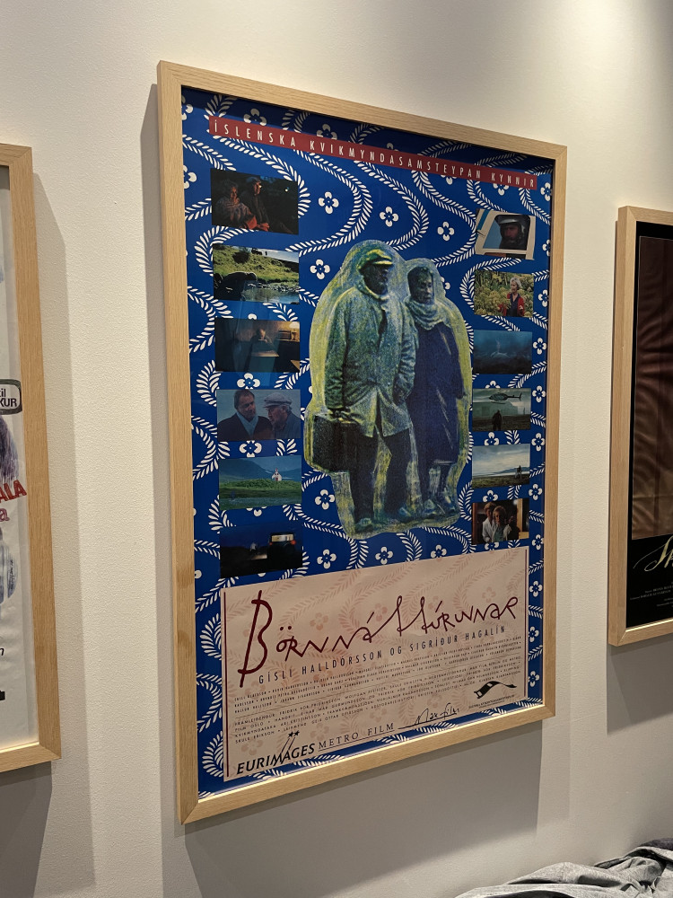 Univerzitet Crne Gore