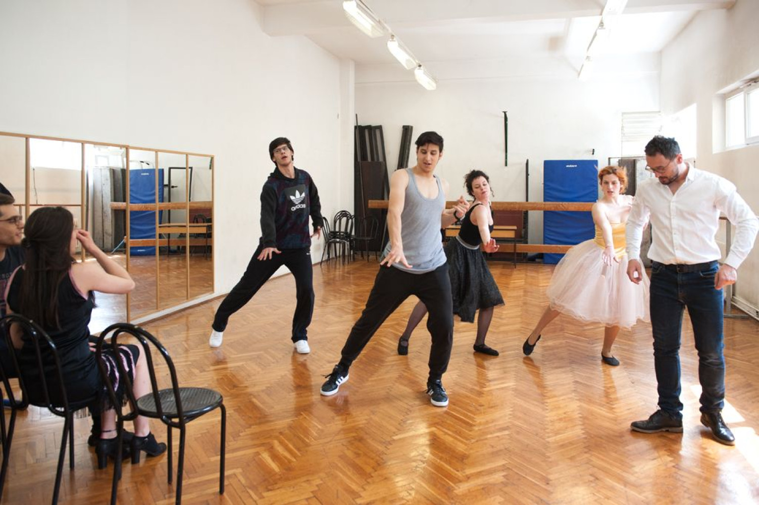 Univerzitet Crne Gore