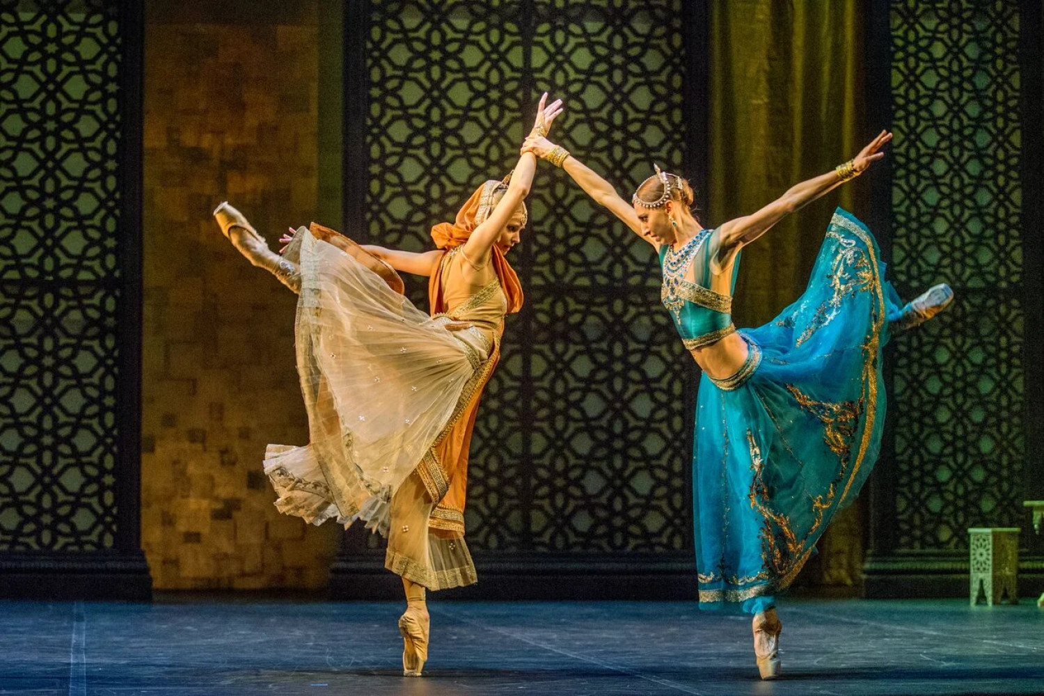 Univerzitet Crne Gore