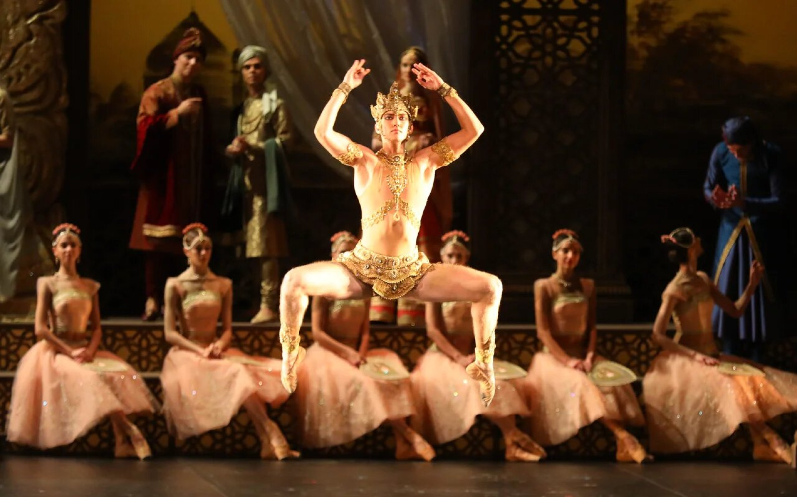 Univerzitet Crne Gore