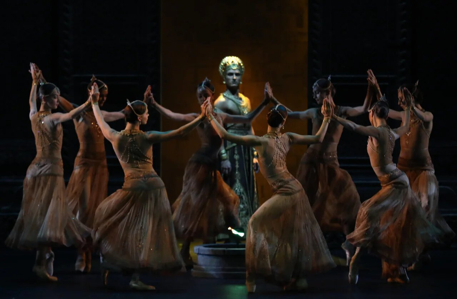 Univerzitet Crne Gore