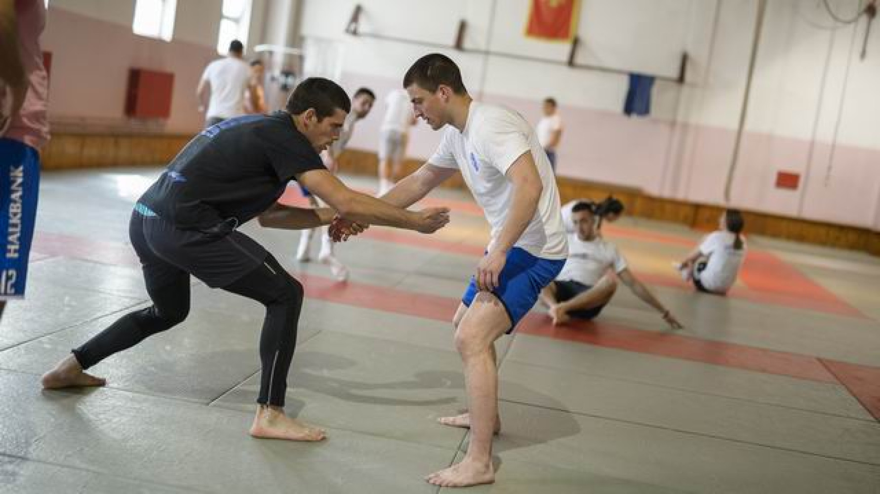 Univerzitet Crne Gore