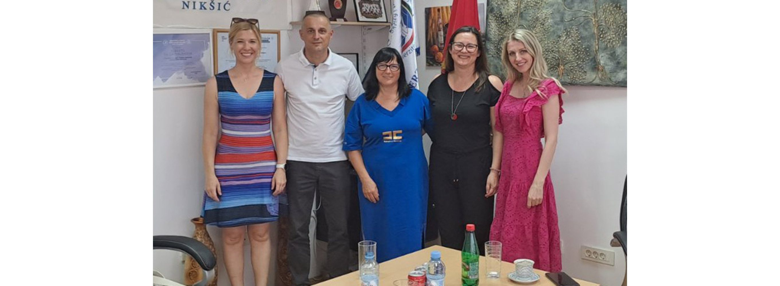 Univerzitet Crne Gore