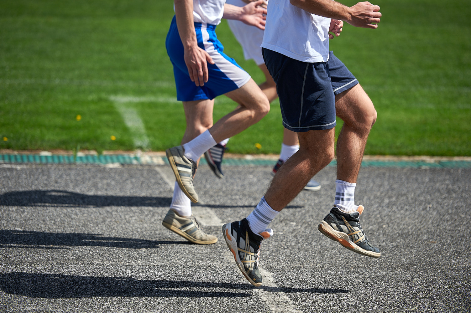 Univerzitet Crne Gore