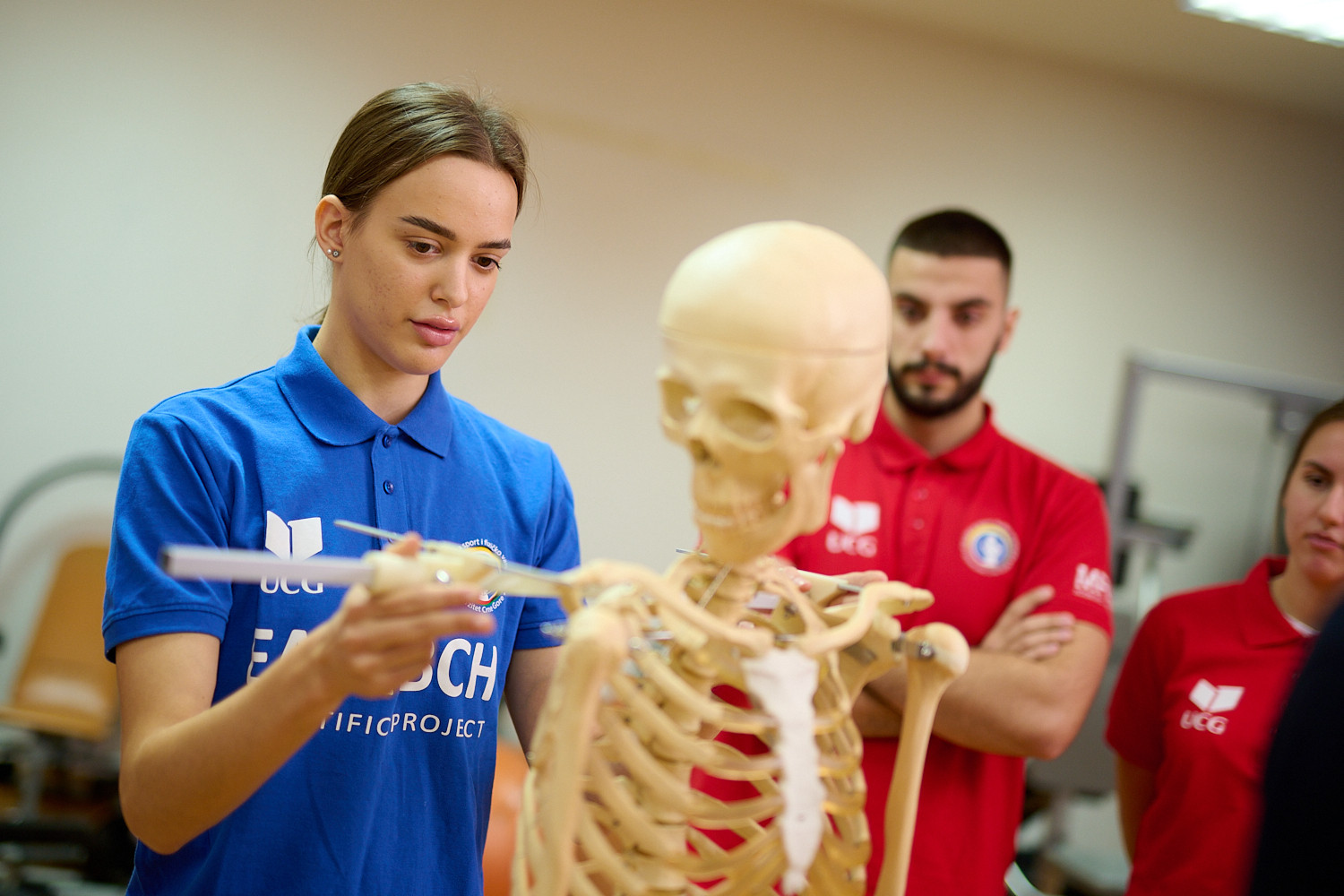 Univerzitet Crne Gore