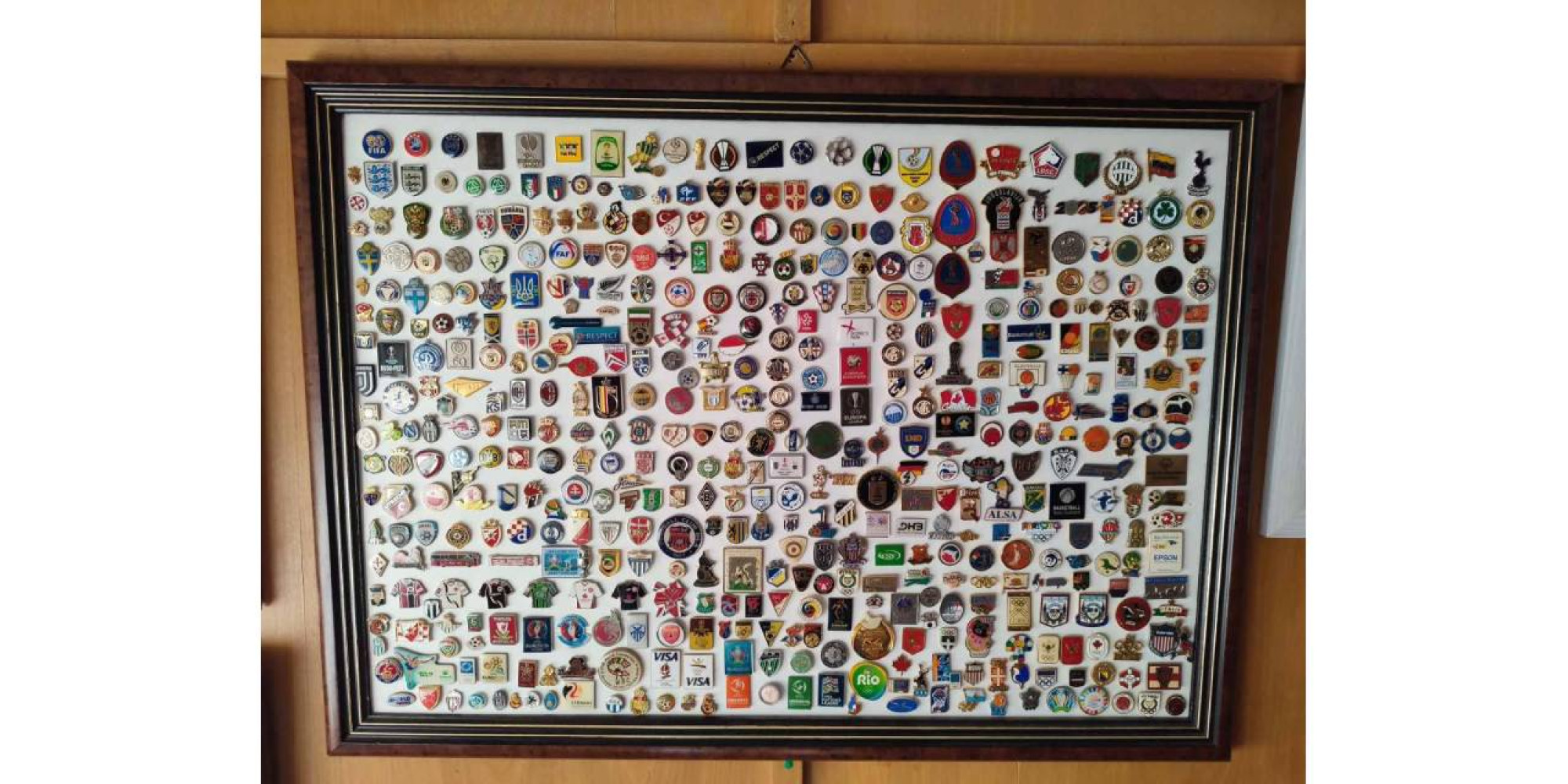 Univerzitet Crne Gore