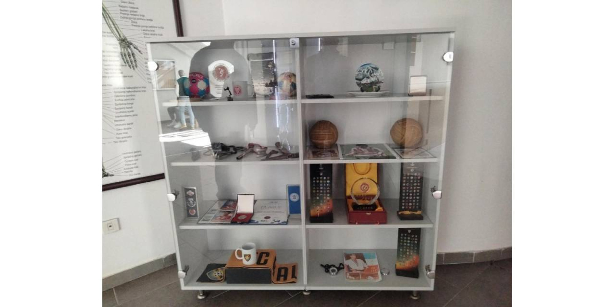 Univerzitet Crne Gore