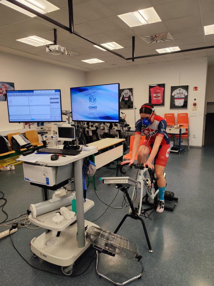 Univerzitet Crne Gore