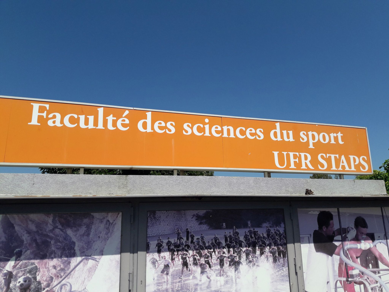 Univerzitet Crne Gore