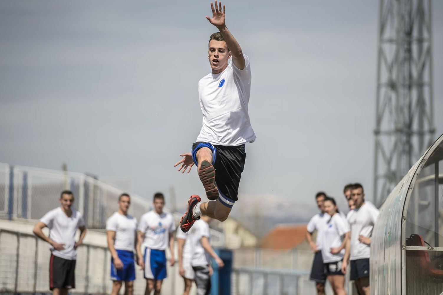 Univerzitet Crne Gore